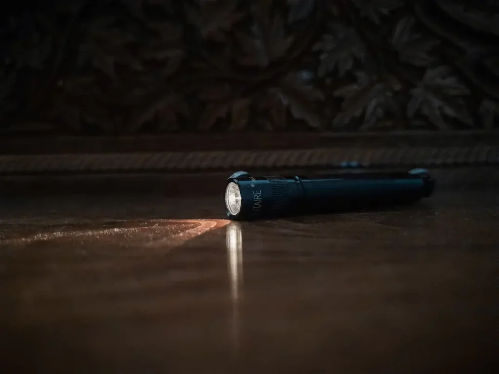 find the pilot light assembly using a flashlight